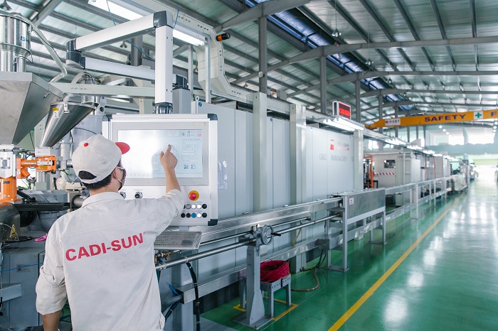 In the first 6 months of 2024, many product groups of CADI-SUN grow beyond the target